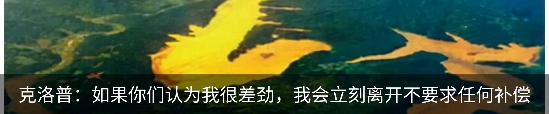 资讯动态